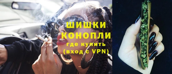 гашик Белокуриха