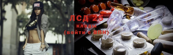 гашик Белокуриха
