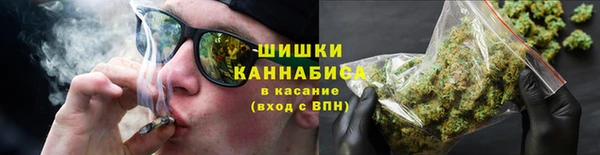 гашик Белокуриха