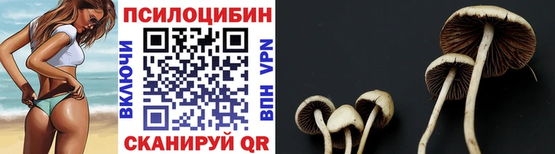 Псилоцибиновые грибы Magic Shrooms купить наркотик Онега