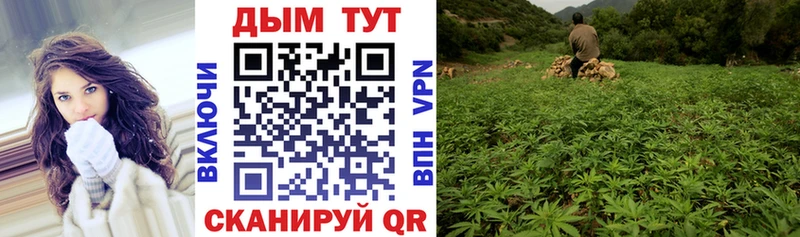купить  цена  МЕГА маркетплейс  Марихуана SATIVA & INDICA  сайты даркнета состав  Онега 